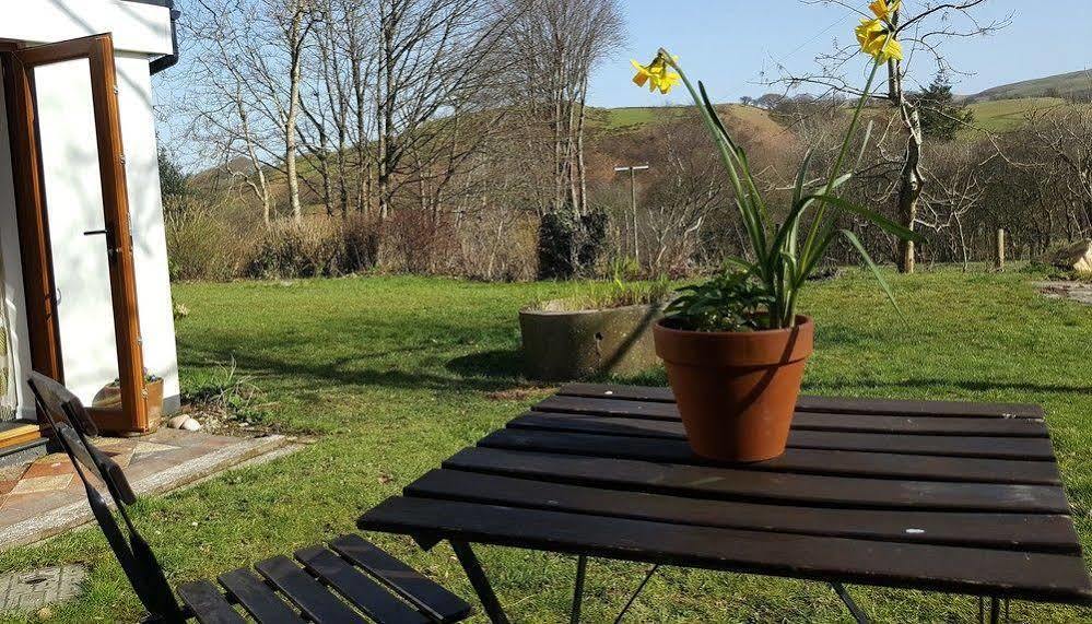 Nant Yr Onnen B&B And Holiday Cottage Tregaron Luaran gambar