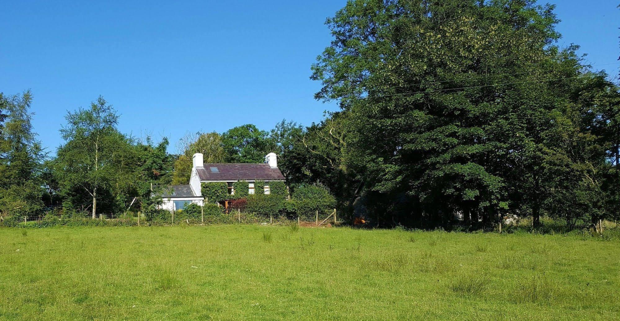 Nant Yr Onnen B&B And Holiday Cottage Tregaron Luaran gambar
